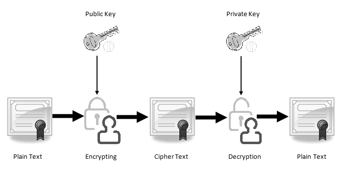 Public And Private Keys Are Keys That Are Generated When